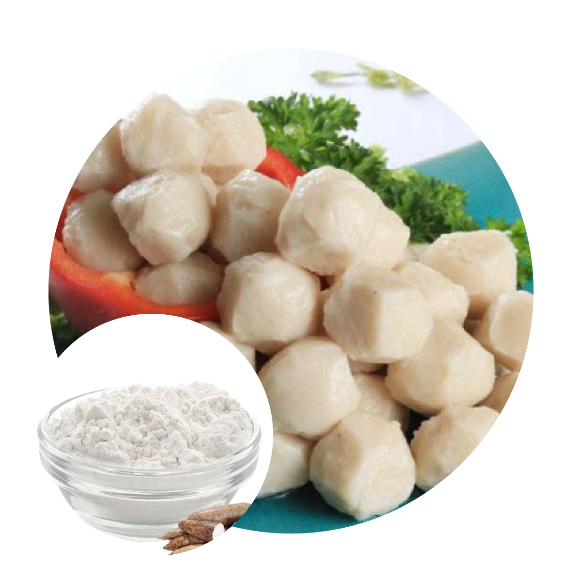 Bột Biến Tính Alpha Starch (Pregel) – Modified Starch | Tinh Bột Biến Tính