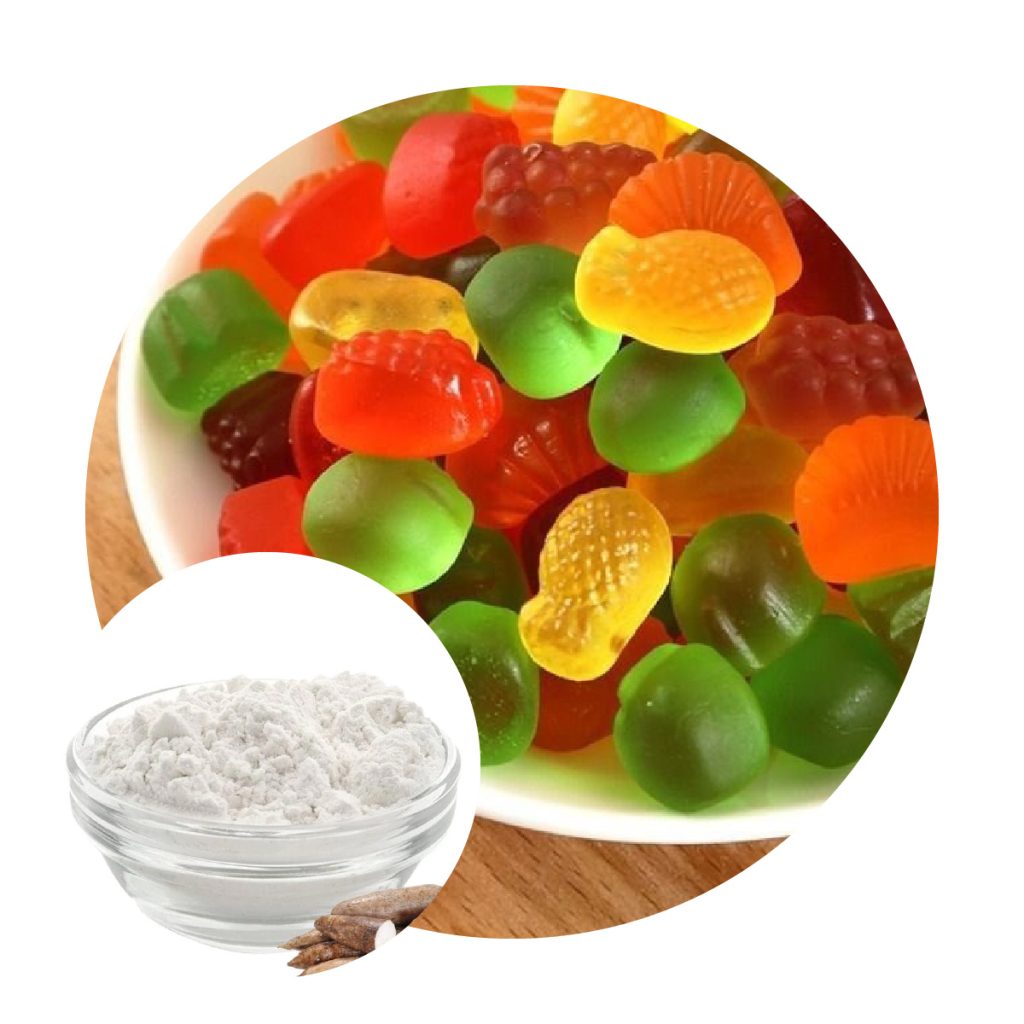 Bột Biến Tính Alpha Starch (Pregel) – Modified Starch | Tinh Bột Biến Tính